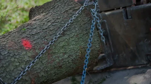 Tractor is dragging three tree trunks Stock Footage 62461732