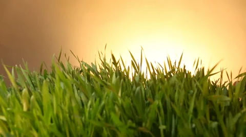 Tractor drawn icon on Grass green summer background. Stock Footage 62383178