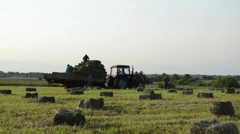 Tractor drive in field and farmer people load it with hay bales Stock Footage 33708326