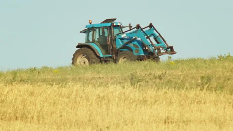 A tractor driven by a farmer in a wheat field Stock Footage 141864854
