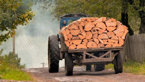 Tractor driven felled pine apples on smoked ground road. Building material Vídeos de archivo 108130814