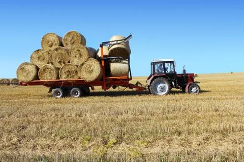 Tractor driven straw bales on the field. Stock Photos