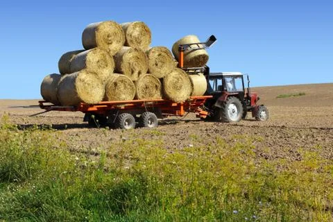 Tractor driven straw bales on the field. Foto stock