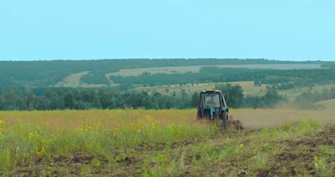 Tractor driver plows the field, removes the grass. Field preparation for sowing Stock Footage 136437545