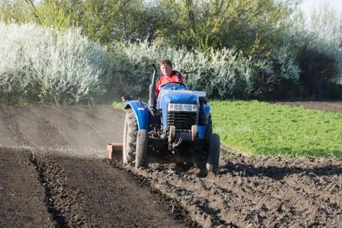 The tractor driver plows the garden Stock Photos