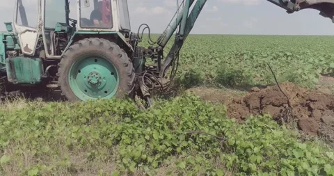 Tractor driver works on the field Stock Footage 134435954