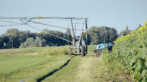 Tractor driver,tractor driver passing in the field Video stock 112691580
