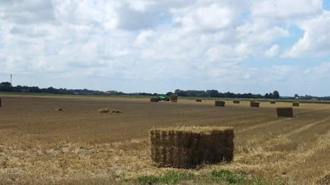 A tractor drives through a field collecting hay into bales. Stock Footage 329557516