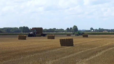 A tractor drives through a field collecting hay into bales. Video stock 329557710