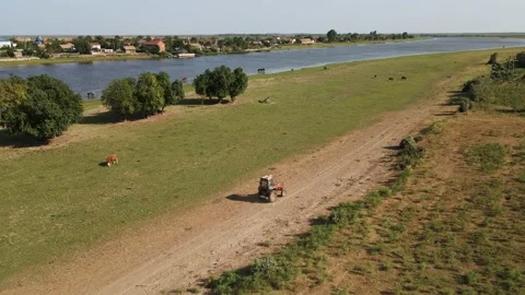 Tractor drives through the field Stock Footage 223539694