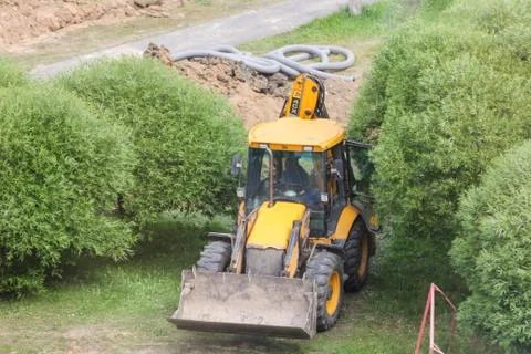 The tractor drives through the trees. Stockfoto's