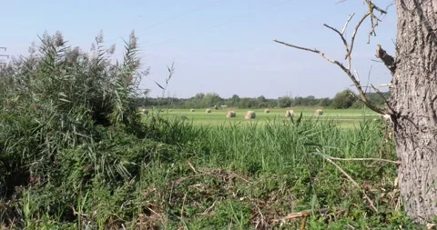 Tractor driving across a plain green grass field Vídeos de archivo 160707554