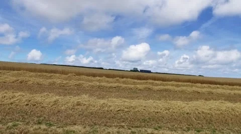 Tractor driving across wheat field during harvest Stock Footage 65446092