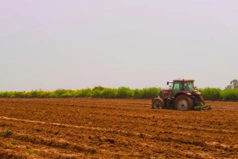 A tractor is driving in a field. Stock Photos
