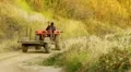 tractor driving mountain 1/2 HD Footage