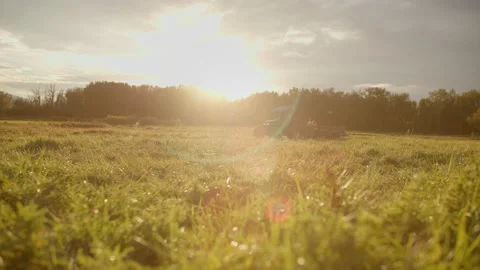 Tractor driving through beautiful field at sunset, tractor ride 库存影片 219405286