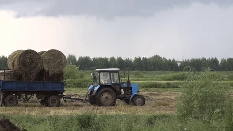 The tractor is driving through the field Stock Footage 78123008