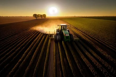A tractor is driving through a field with a sun in the background and a lin.. Stock Illustration