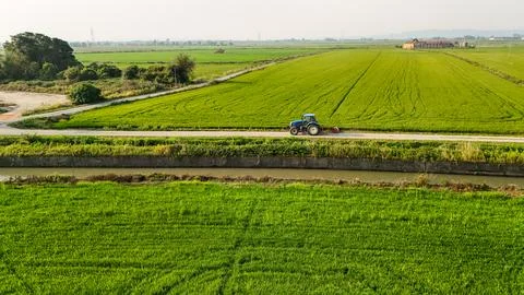 Tractor driving through rice fields in rural Italy Stock Photos
