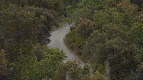 A tractor driving through trees Stock Footage 88707656