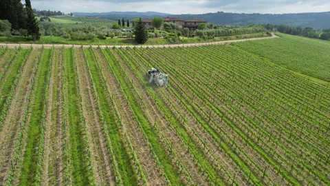 Tractor driving through a vineyard and spraying it. Stock Footage 275599727