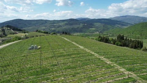Tractor driving through a vineyard and spraying it. Stock-Footage 333303507