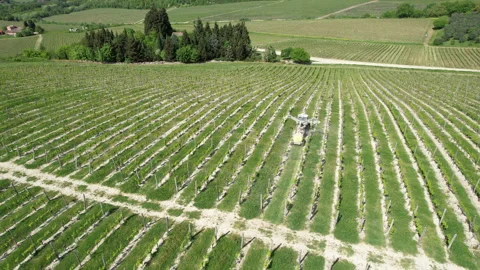 Tractor driving through a vineyard and spraying it. Stock-Footage 333303832