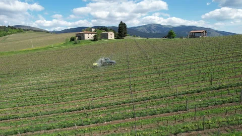 Tractor driving through a vineyard and spraying it. Italy 库存影片 333304909