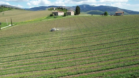 Tractor driving through a vineyard and spraying it. Vidéo 333305020