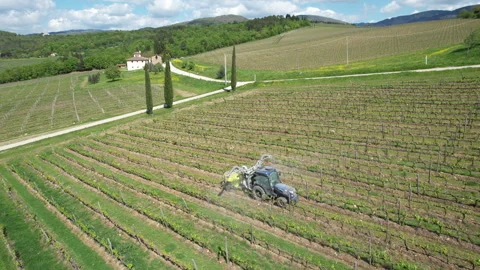 Tractor driving through a vineyard and spraying it. Stock-Footage 333305161