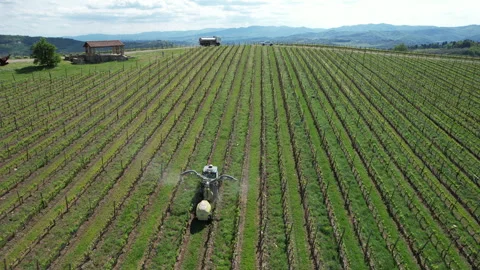 Tractor driving through a vineyard and spraying it. Stock-Footage 333305265