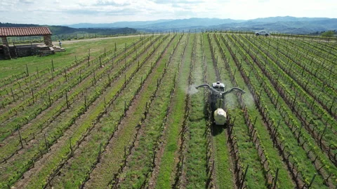 Tractor driving through a vineyard and spraying it. Stockbeeldmateriaal 333305517