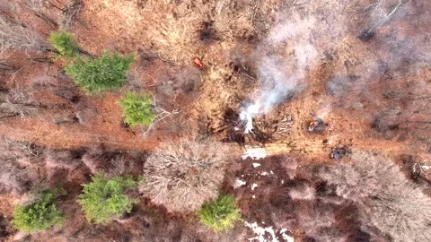 Tractor Driving Towards Controlled Burn With Smoke Rising. Wintery Forest Stock Footage 332632957