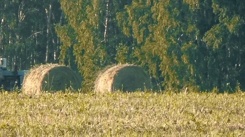 Tractor drove past the stacks Video stock 96034434