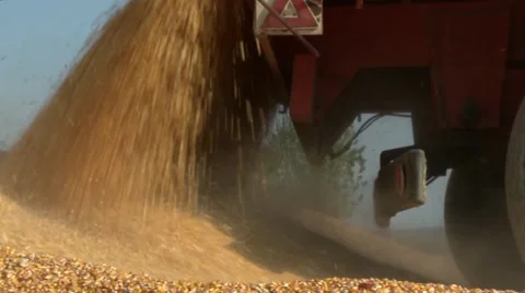 Tractor dumping corn dolly shot Stock Footage 66759137