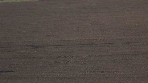 Tractor in the dust working in the field.  Vidéo 132090233