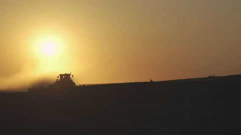 Tractor in the dust working in the field at sunset on a background of birds Vidéo 132105438
