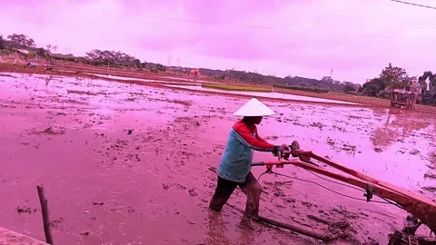 The tractor engine is clearing paddy fields 動画素材 234623976