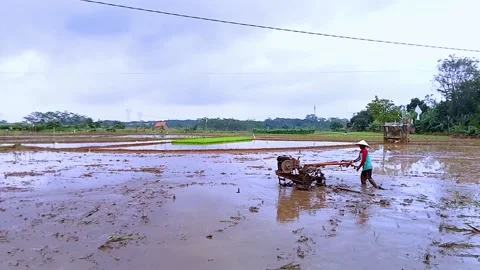 The tractor engine is clearing paddy fields 動画素材 234623977