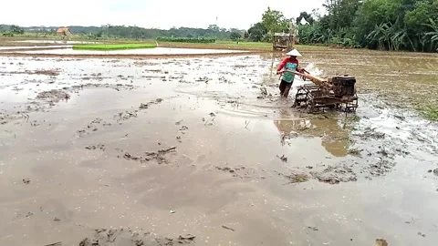 The tractor engine is clearing paddy fields 動画素材 234624217