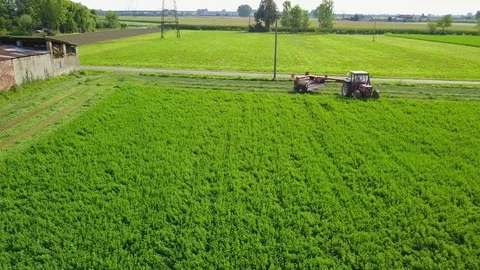 Tractor entering a field Stock Footage 81513278