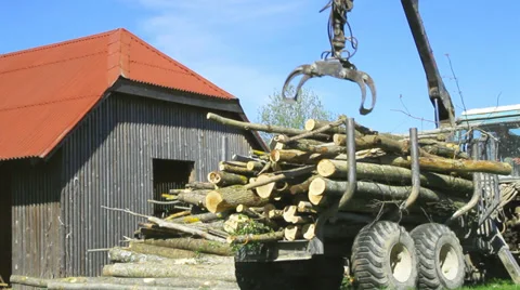 -Tractor for export of timber logs unload them. Stockbeeldmateriaal 37553379