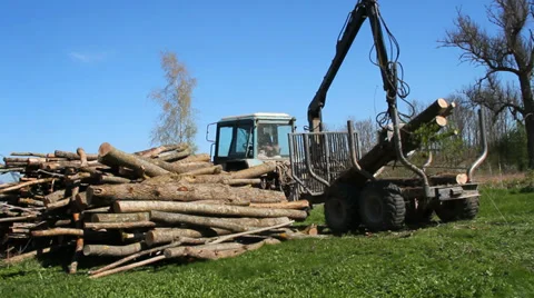 Tractor for export of timber logs unload them. Stockbeeldmateriaal 37553441