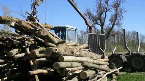 Tractor for export of timber logs unload them. Stockbeeldmateriaal 37553494