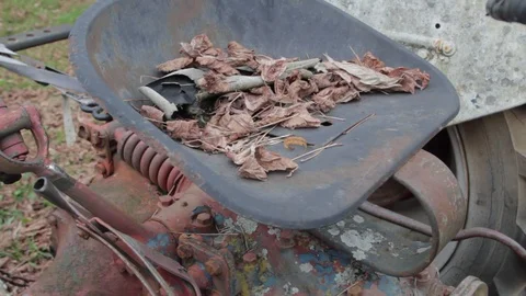 Tractor in the fall 動画素材 88196718