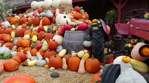 Tractor Farm Equipment Pumpkin Rural Landscape British Columbia Stock Footage 151486355