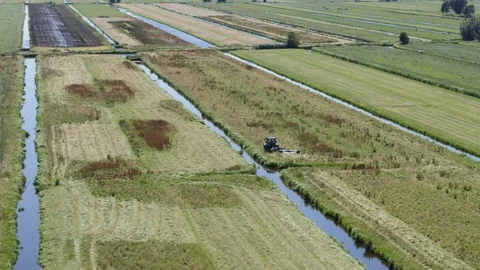 Tractor Farmer working Dutch field in midday Video stock 103090785
