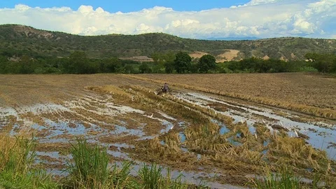 Tractor on Farmland Stock Footage 110221547