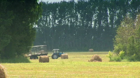 Tractor in the field 05 스톡 동영상 509752