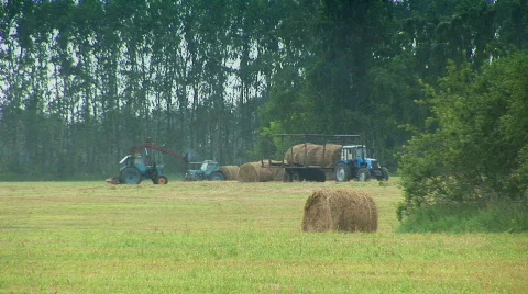 Tractor in the field 08 Stock Footage 509818